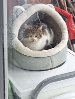 Das ist Bobby.